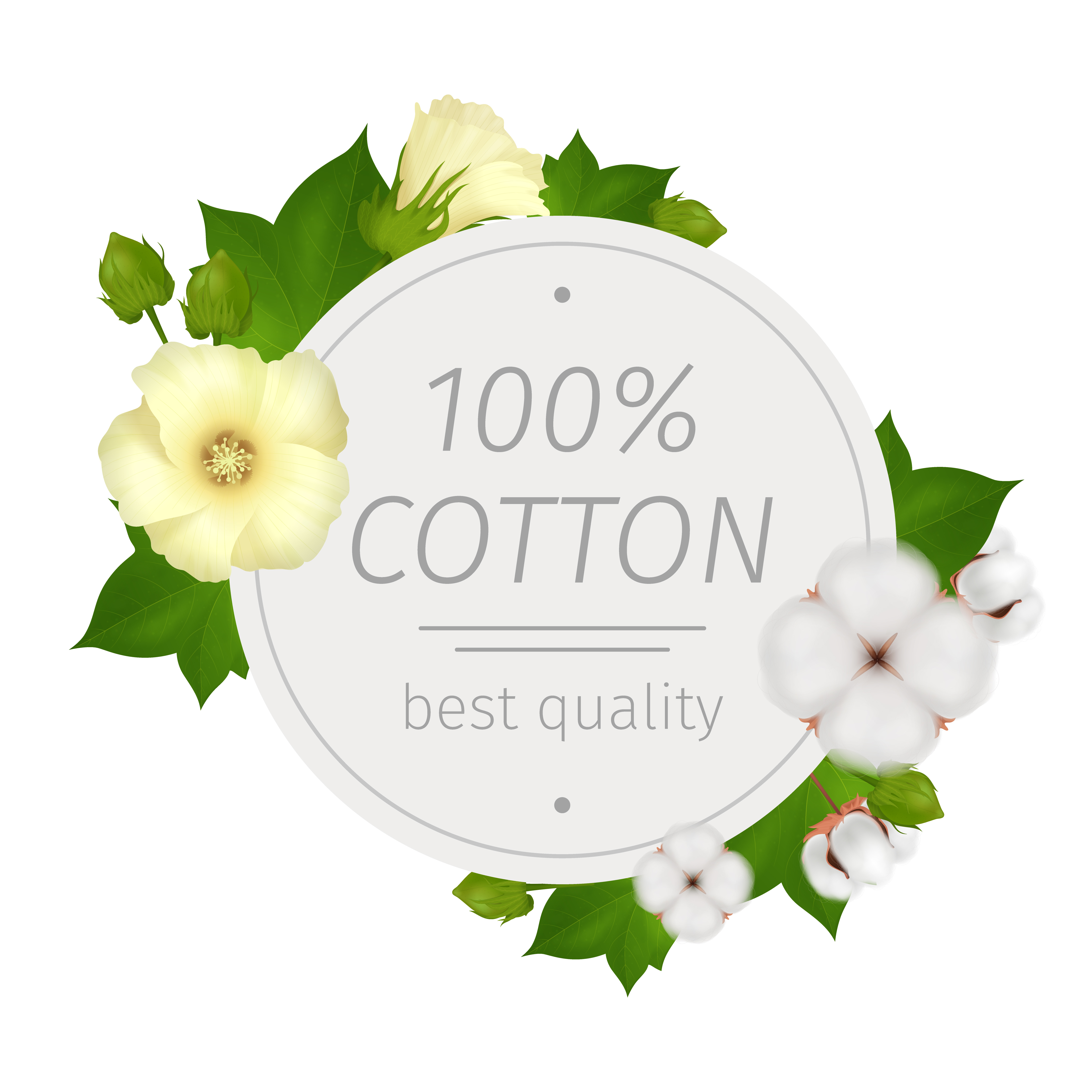 Premium cotton fabric